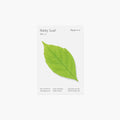 付箋＿白樺(Green,S)
