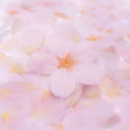 付箋＿透明桜(White,M)