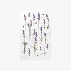 押し花ステッカー＿ラベンダー