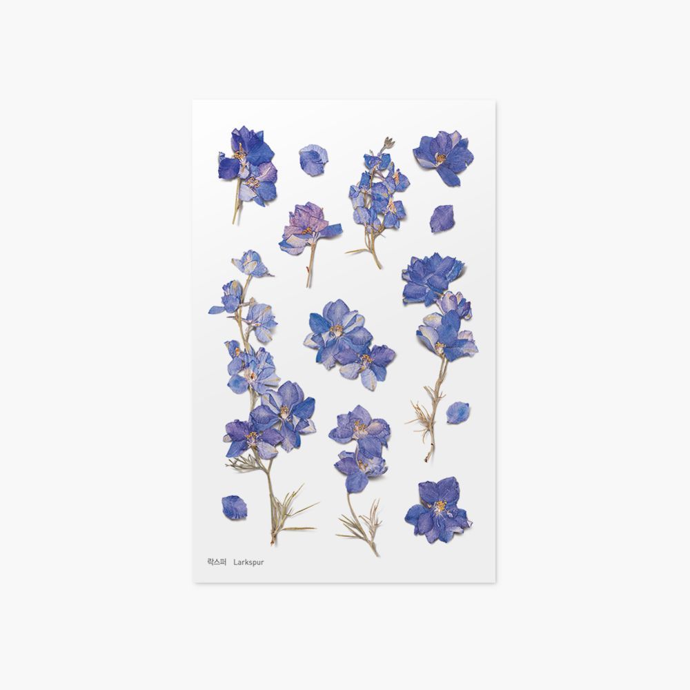 押し花ステッカー＿ラークスパー