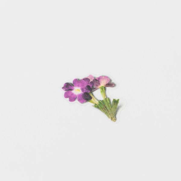 押し花ステッカー＿バーベナ