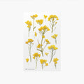 押し花ステッカー＿菜の花