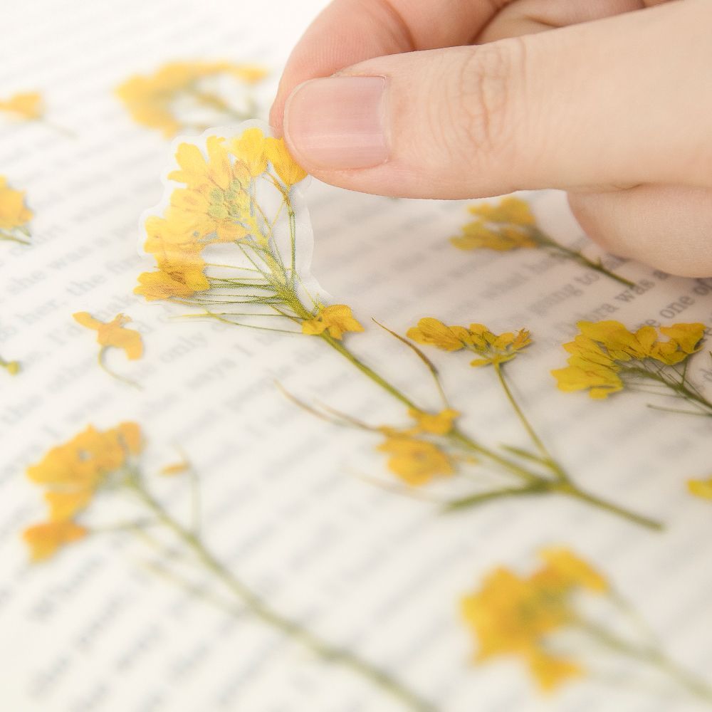 押し花ステッカー＿菜の花