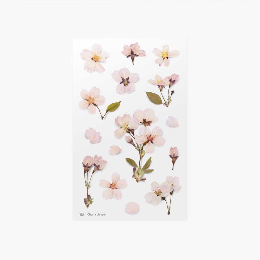 押し花ステッカー＿桜