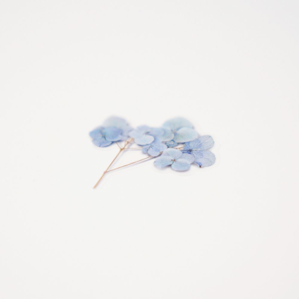 押し花ステッカー＿あじさい