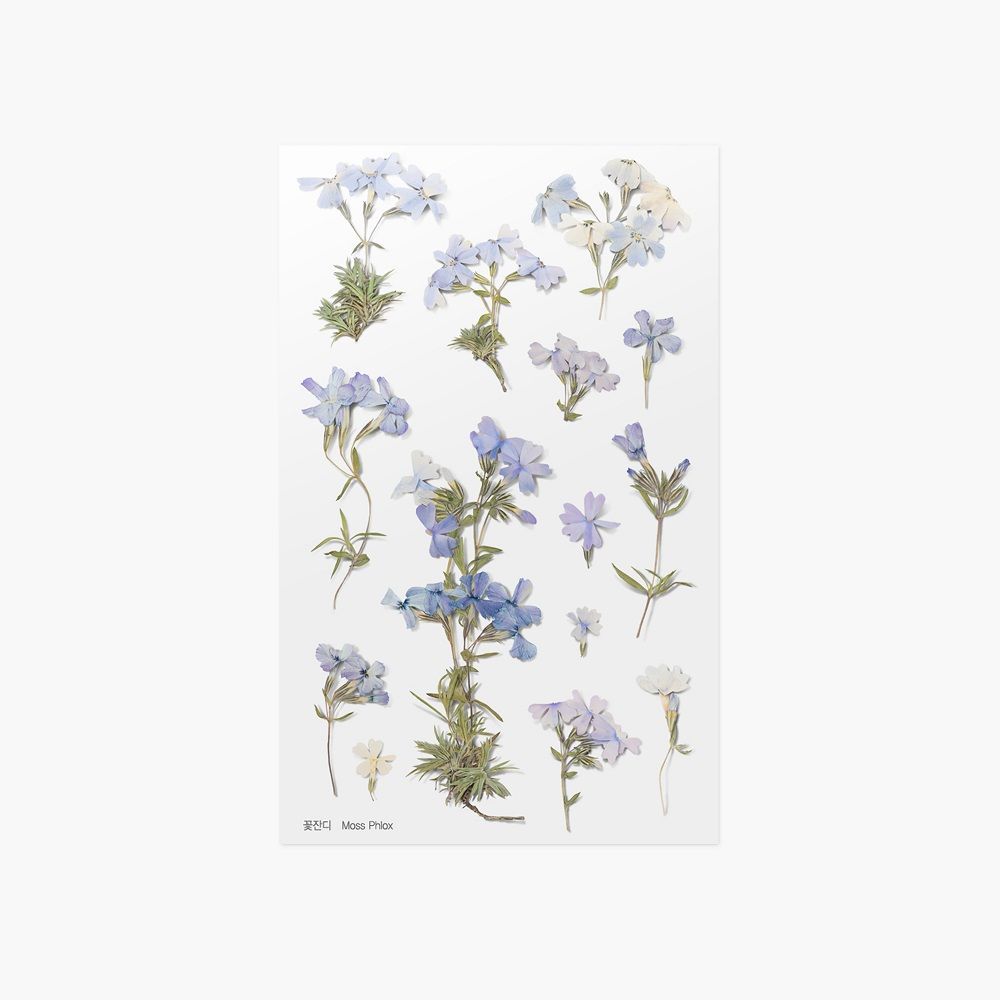 押し花ステッカー＿芝桜