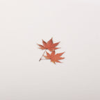 押し花ステッカー＿もみじ
