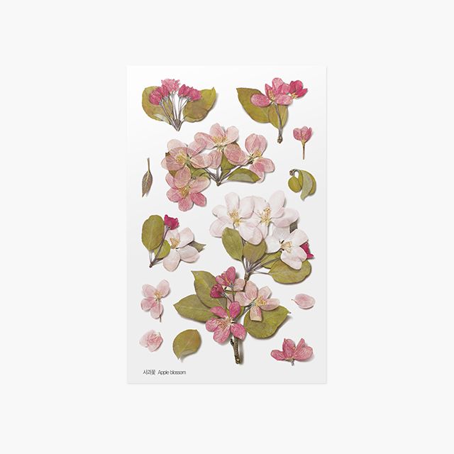 押し花ステッカー＿りんごの花
