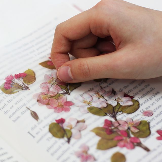 押し花ステッカー＿りんごの花