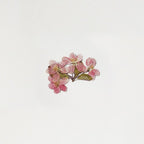 押し花ステッカー＿りんごの花