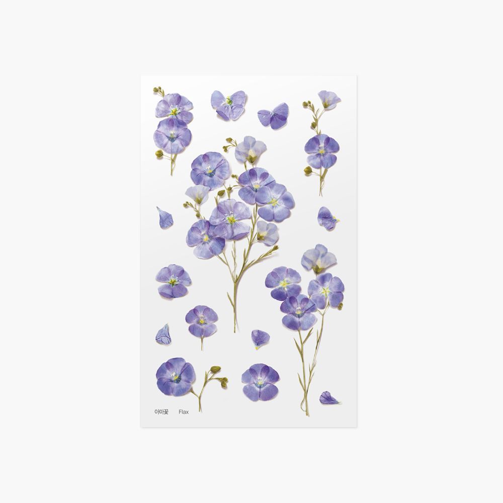 押し花ステッカー＿アマの花