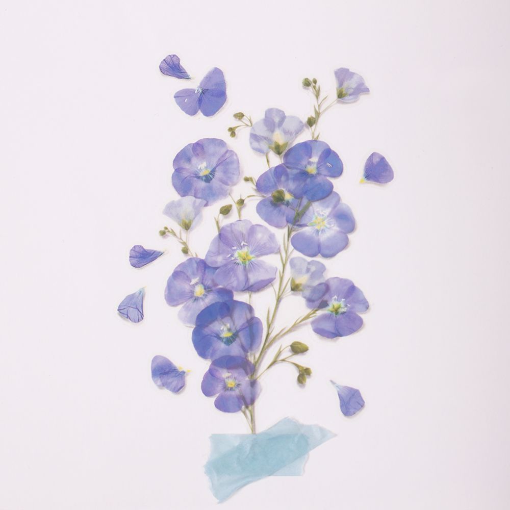 押し花ステッカー＿アマの花
