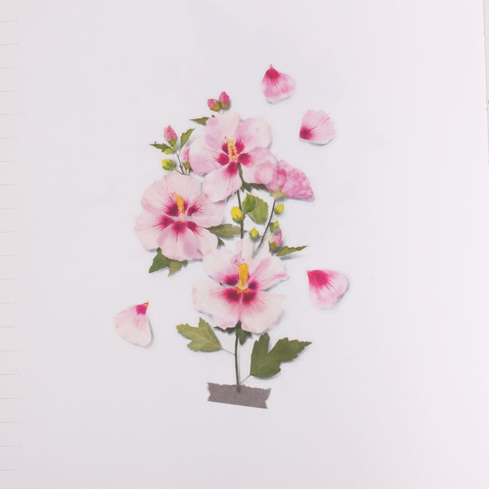 押し花ステッカー＿ムクゲ