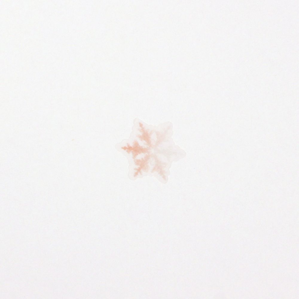 ネイチャーステッカー＿雪